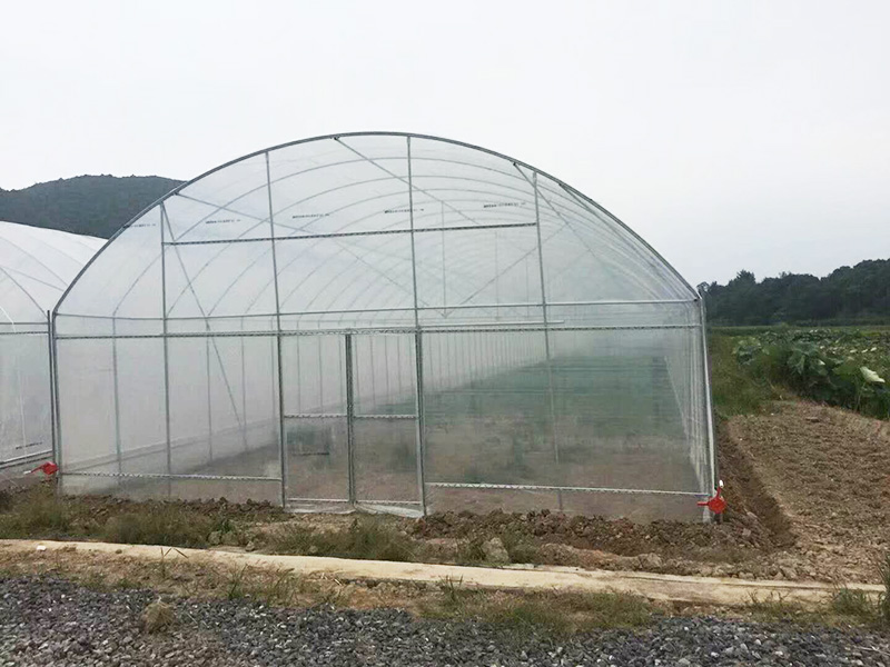 泰安市薄膜大棚玻璃大棚 - 方案